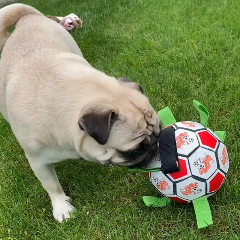 Dog Football Bite-Resistant Toy