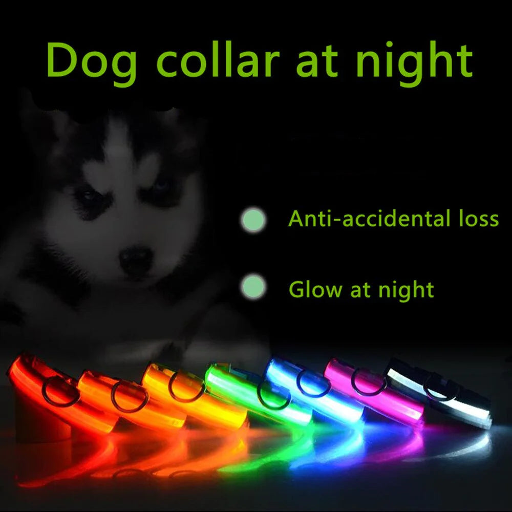 LED Adjustable Dog Collar Blinking Flashing Light Up Glow Pets Safety Waterproof