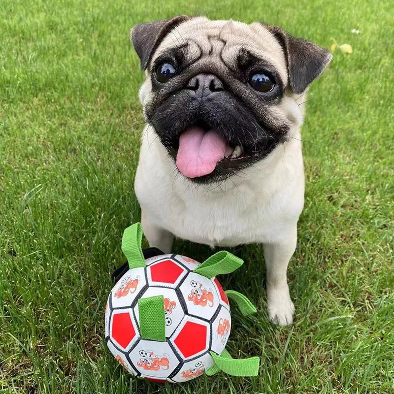 Dog Football Bite-Resistant Toy