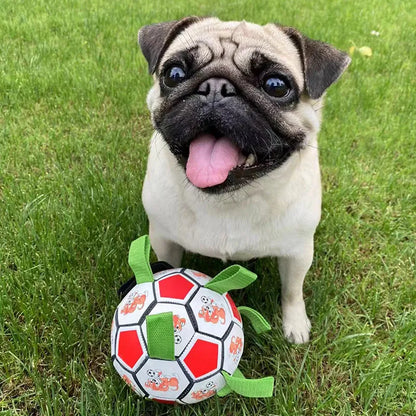 Dog Football Bite-Resistant Toy