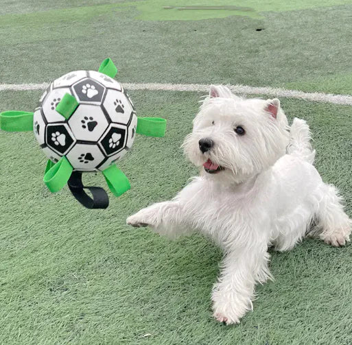 Dog Football Bite-Resistant Toy