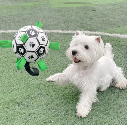 Dog Football Bite-Resistant Toy